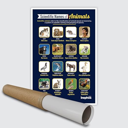 Scientific Names of Animals Poster | Educational Biology Chart for Kids & Students