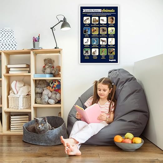 Scientific Names of Animals Poster | Educational Biology Chart for Kids & Students