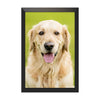 Personalized Pet Photo Frame & Custom Pet Portrait Wall Art | Turn Your Pet's Picture into a Beautiful Framed Memory | Perfect Gift for Dog & Cat Parents