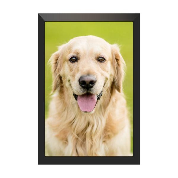 Personalized Pet Photo Frame & Custom Pet Portrait Wall Art | Turn Your Pet's Picture into a Beautiful Framed Memory | Perfect Gift for Dog & Cat Parents