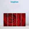 Red Rose Close Up Romantic Multi Frame | Vinyl Painting for Bedroom & Gift Decor