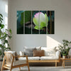 Lotus Bloom Multi Frame Vinyl Wall Painting | Nature-Themed Floral Art For Living Room, Bedroom, Or Meditation Space