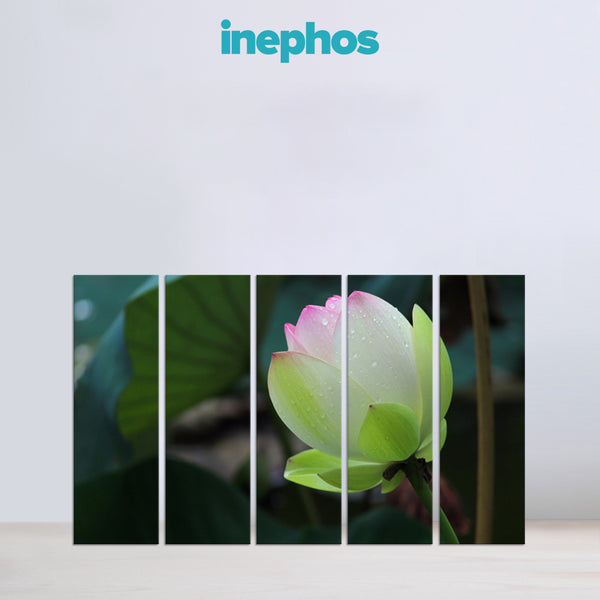 Lotus Bloom Multi Frame Vinyl Wall Painting | Nature-Themed Floral Art For Living Room, Bedroom, Or Meditation Space