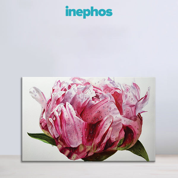 Dew-Kissed Peony Wall Painting for Living Room, Bedroom, Office, Hotels, Drawing Room