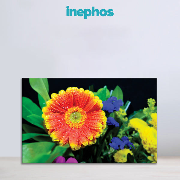 Vibrant Flower Wall Painting for Living Room, Bedroom, Office, Hotels, Drawing Room