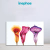 Trio of Calla Lilies - Botanical Wall Painting for Living Room, Bedroom, Office, Hotels, Drawing Room