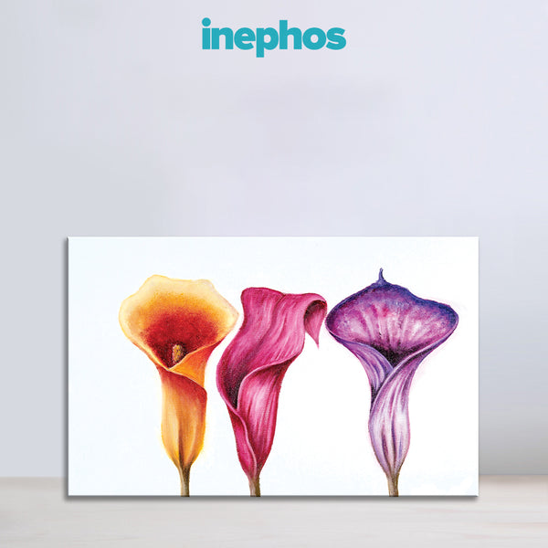 Trio of Calla Lilies - Botanical Wall Painting for Living Room, Bedroom, Office, Hotels, Drawing Room