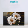 Daisy Flower Canvas Painting | Realistic White Flower Wall Art for Living Room & Nature Decor