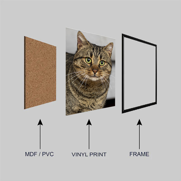 Custom Cat Photo Frame for Cats & Kittens | Personalized Cat Portrait Wall Art | Upload Your Cat's Photo & Create a Cherished Memory | Premium Framed Artwork for Pet Lovers & Home Decor