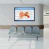 Anatomy of the Ear Chart Poster | Human Ear Diagram & Labeled Structure | Biology, Medical Learning & Classroom Wall Poster