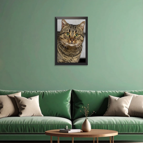 Custom Cat Photo Frame for Cats & Kittens | Personalized Cat Portrait Wall Art | Upload Your Cat's Photo & Create a Cherished Memory | Premium Framed Artwork for Pet Lovers & Home Decor