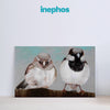 Charming Sparrow Pair Wall Painting for Living Room, Bedroom, Office, Hotels, Drawing Room
