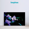 Purple Bloom Wall Painting for Living Room, Bedroom, Office, Hotels, Drawing Room