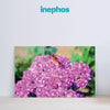Elegant Purple Flowers Wall Painting for Living Room, Bedroom, Office, Hotels, Drawing Room