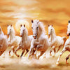 White horses running in a desert landscape with a warm, golden sky.