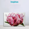 Dew-Kissed Peony Wall Painting for Living Room, Bedroom, Office, Hotels, Drawing Room