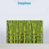 Green Bamboo Forest Painting | Nature Modern Abstract Canvas | Wall Art For Living Room & Relaxing Spaces