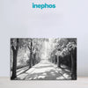 Black and White Tree Pathway Canvas Painting | Serene Forest Walk Artwork for Modern Home & Office Wall Décor | Monochrome Nature Scene