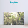 Forest Canopy Glow – Lush Greenery Canvas Art for Living Room, Bedroom, and Office